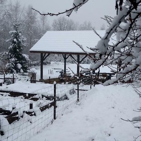 란스코로나 Agroturystyka U Maciejowej 빌라 외부 사진