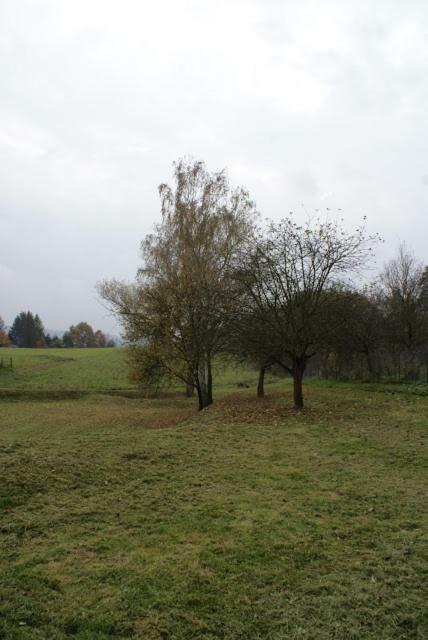 란스코로나 Agroturystyka U Maciejowej 빌라 외부 사진