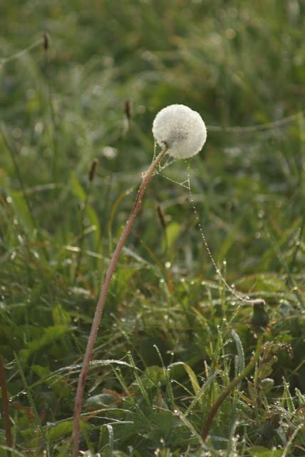 란스코로나 Agroturystyka U Maciejowej 빌라 외부 사진
